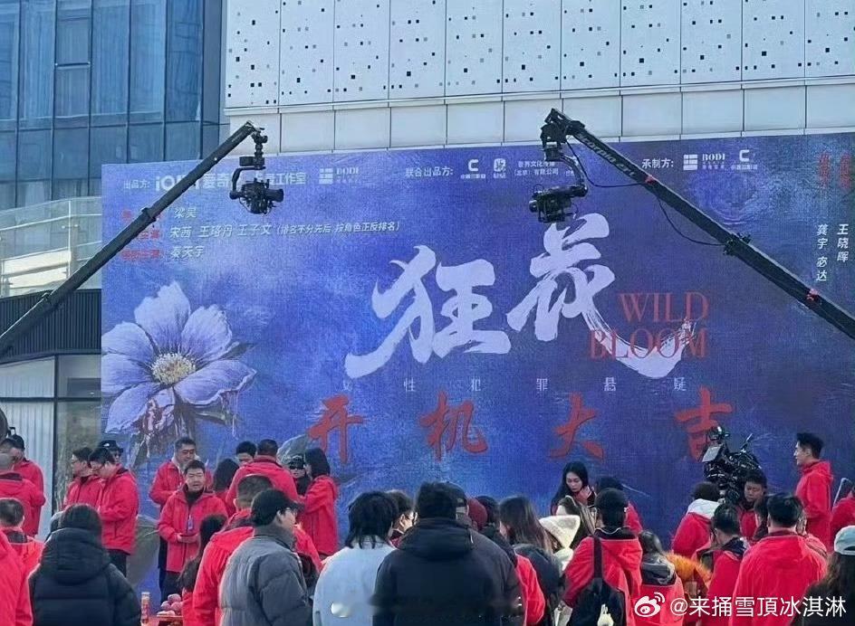 狂花番位宋茜王珞丹王子文的番位 也对 