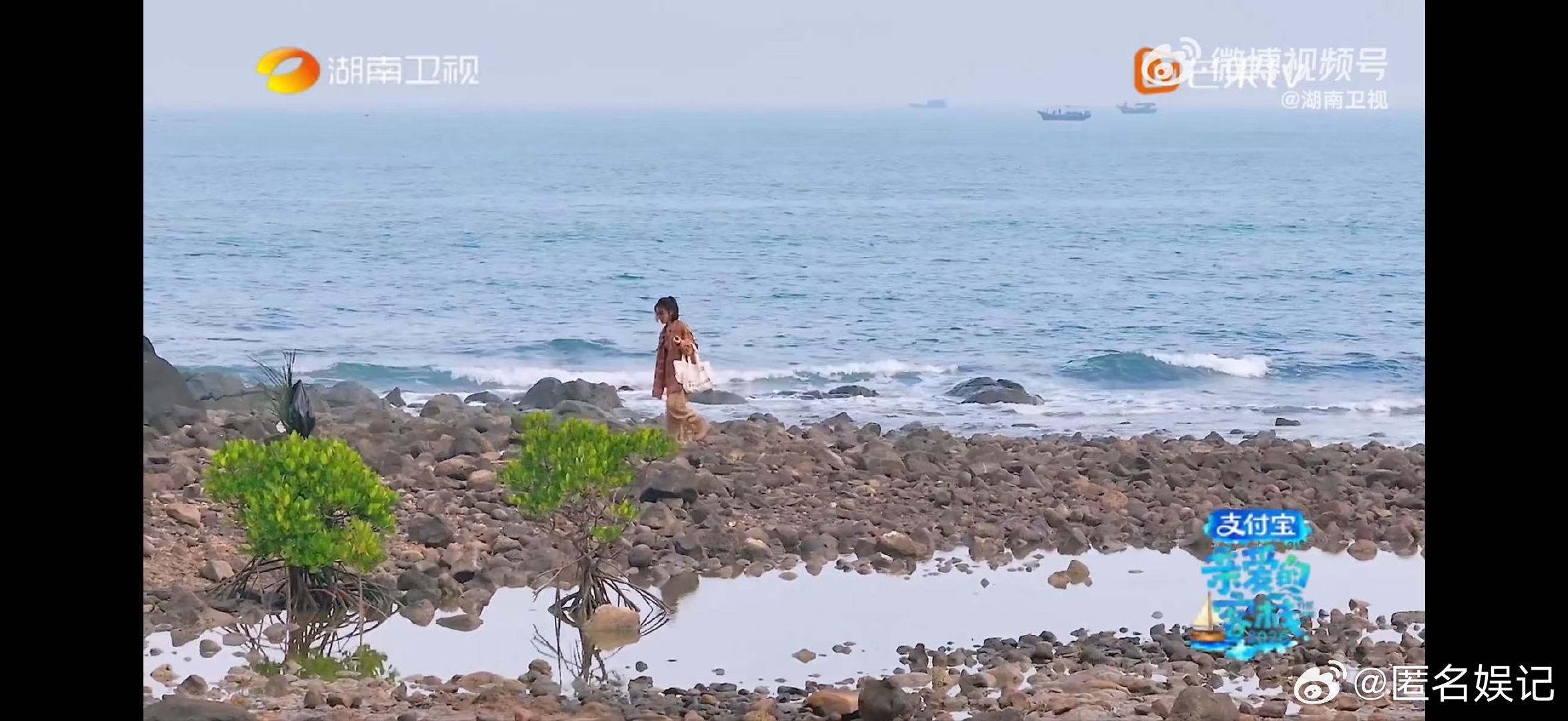 秦岚捡石头顺手捡走垃圾 亲爱的客栈从挑火山石到随手捡垃圾，秦岚用小细节展现最好的