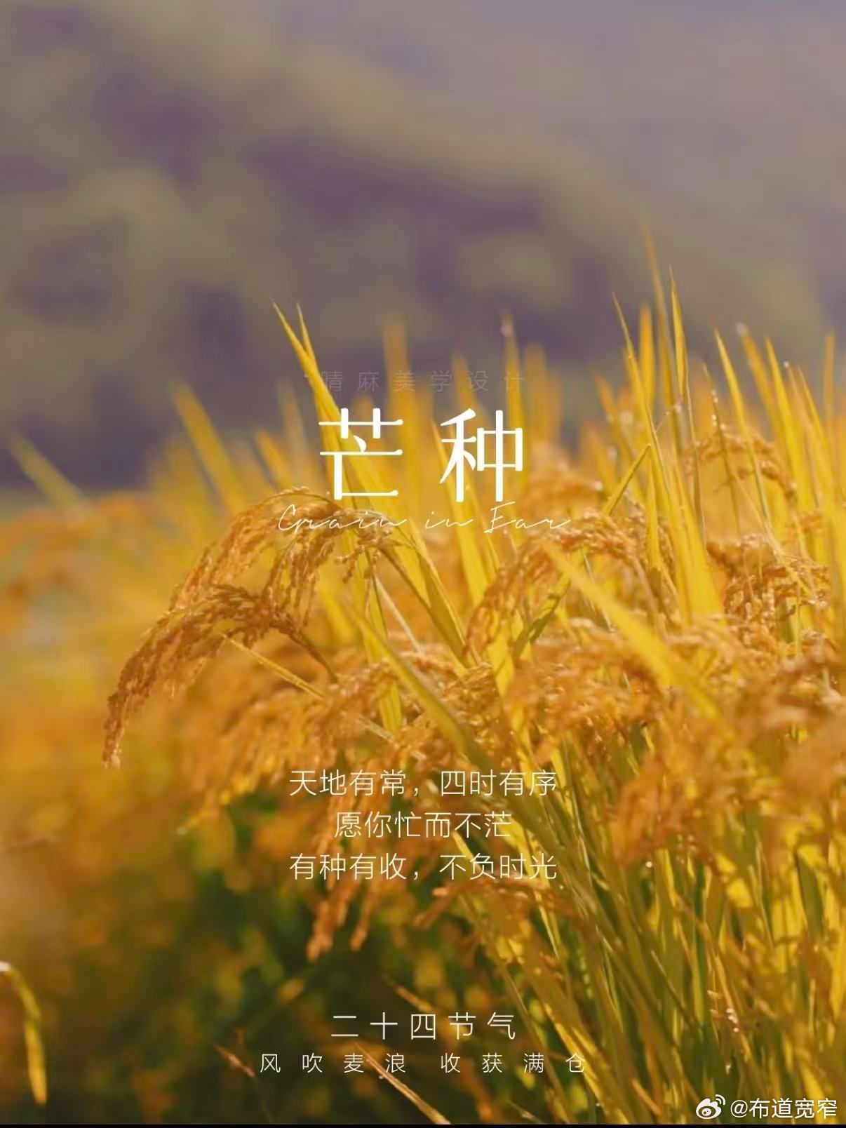 宽窄思语 “春争日，夏争时。天地有大美而不言，万物有成理而不说。”世间万事，皆如