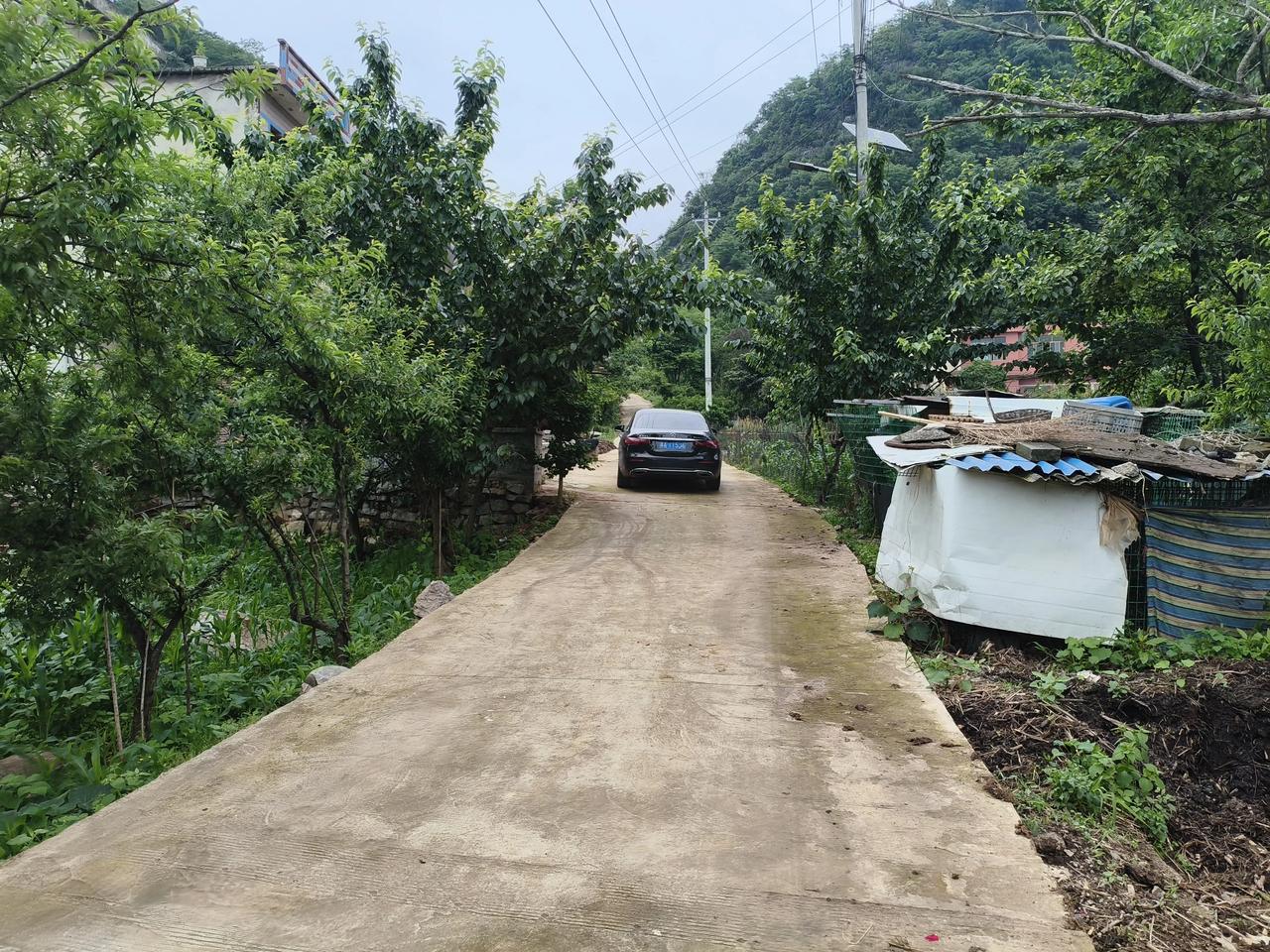 俄军使用榛树打基辅
      5月24日俄乌冲突升级，俄军为报复乌军袭击卢甘斯