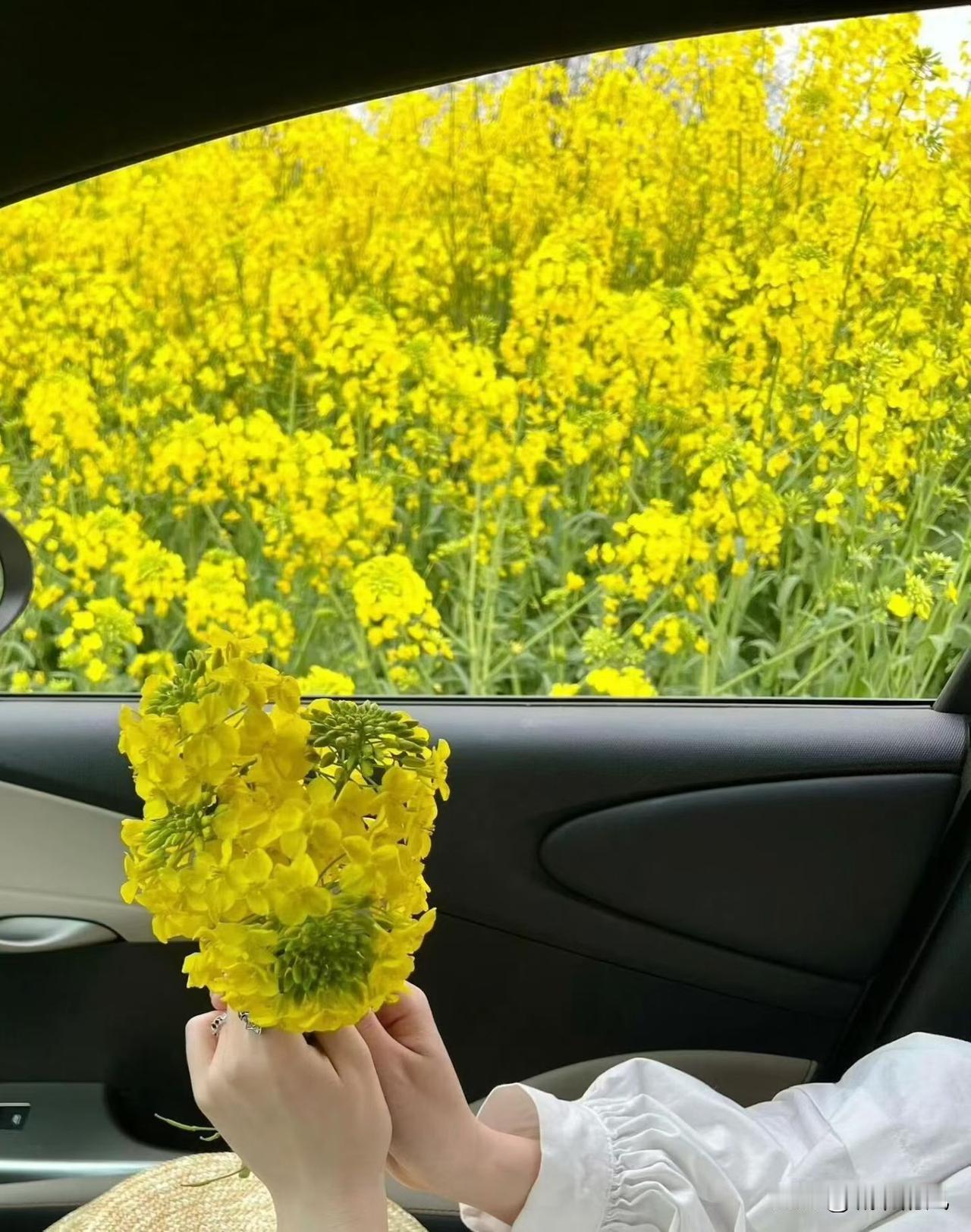 同事老公和几个同事去一名胜古迹游玩，5天时间，除了来去车费花了快4000元。同事