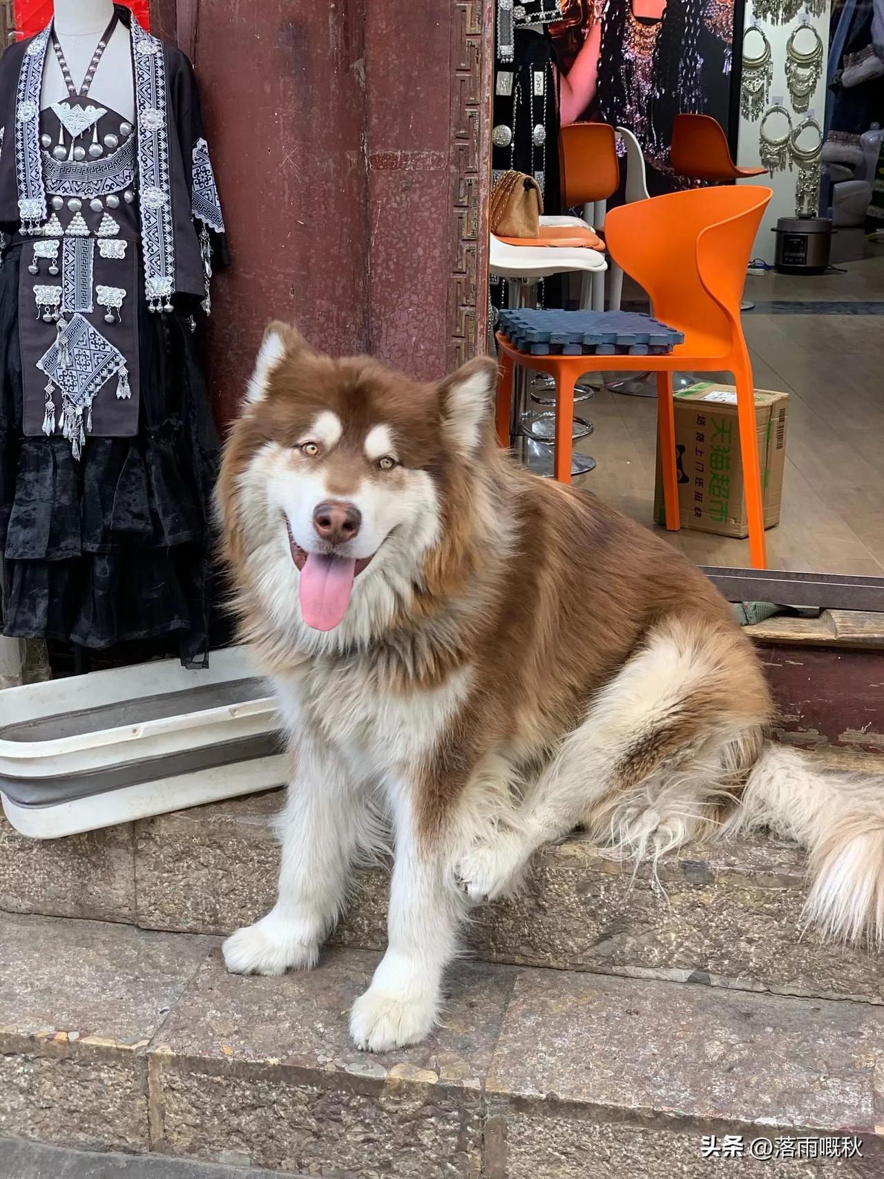 ✌🏻周末啦
         🥨常快乐
                💗
