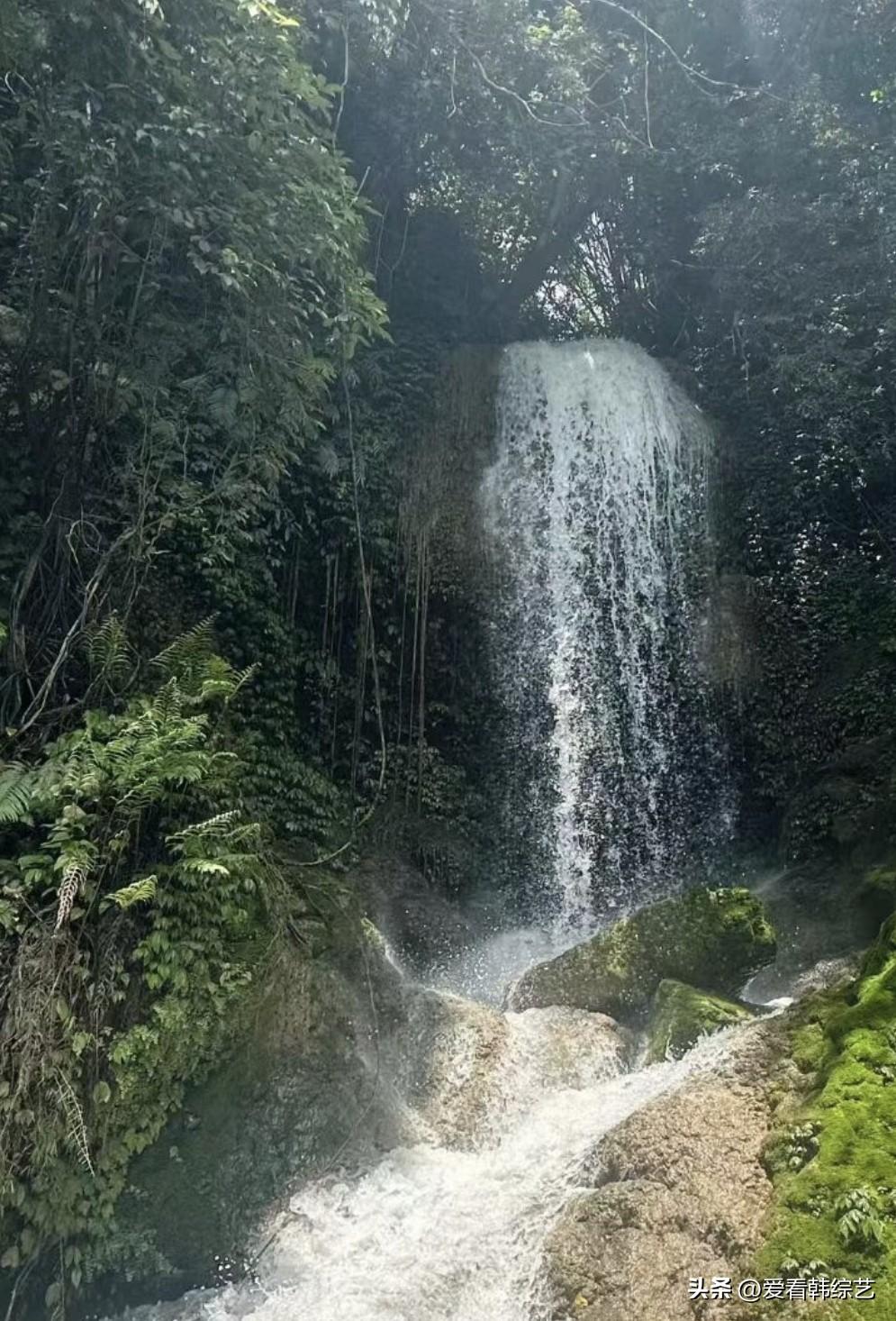 夏日生活打卡季密林深处飞瀑倾泻而下，水花飞溅撞击青石。青苔覆满山石，草木郁郁葱葱