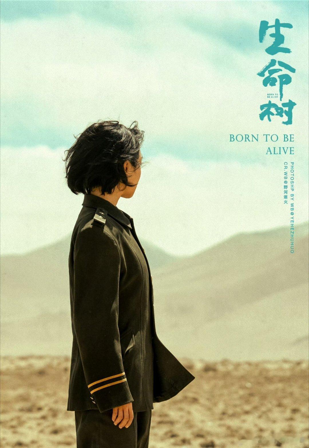 生命树 yz杨紫白菊yz杨紫生命树 时间啃噬距离每一秒我们都在靠近杨紫白菊｜杨紫