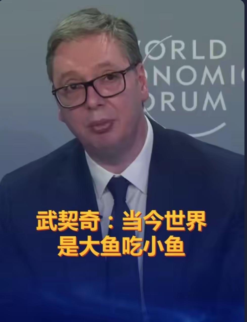 “当今世界是大鱼吃小鱼，小国只能靠自己”！武契奇在达沃斯论坛上的一句话，撕开了西