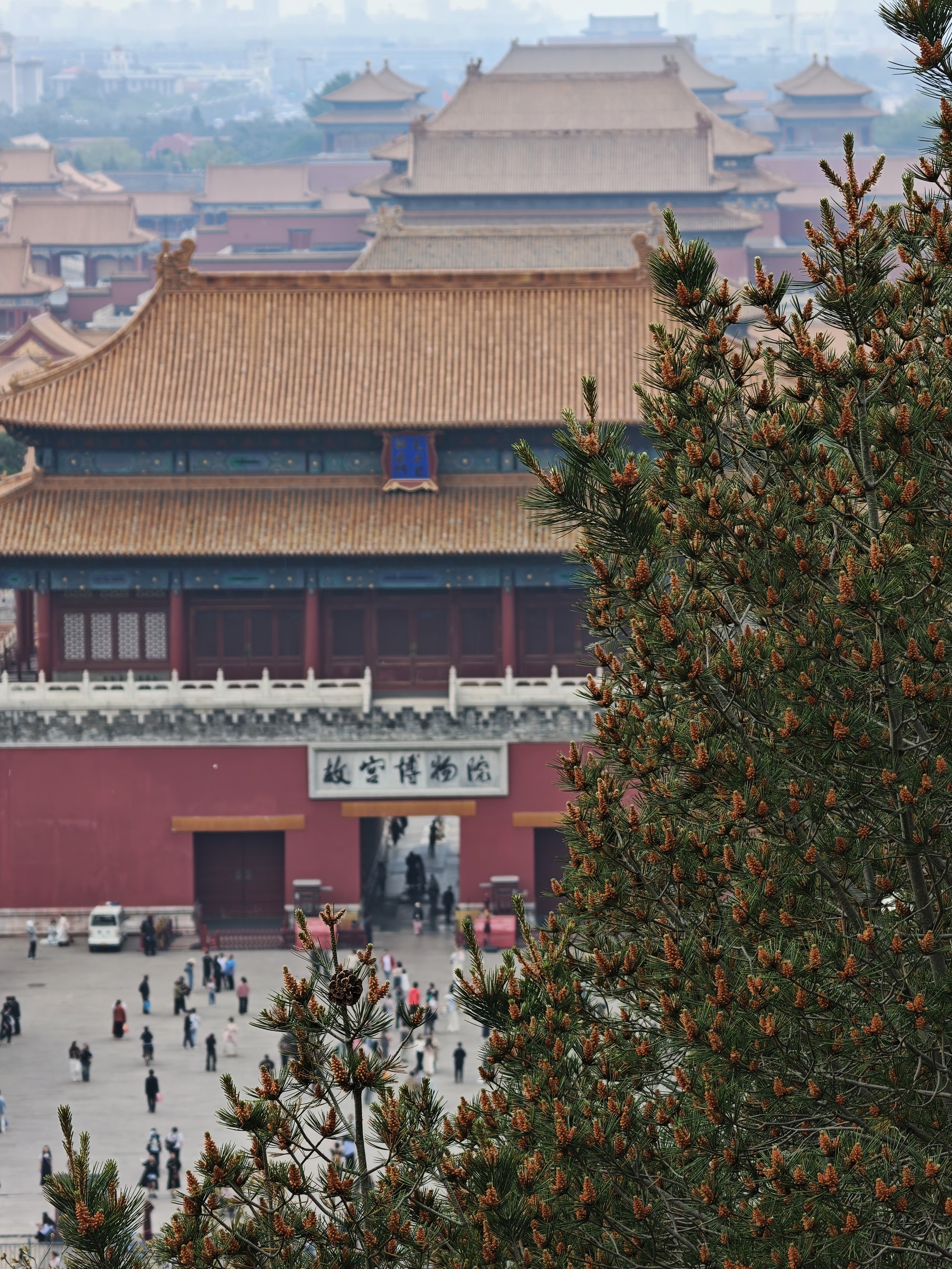 逛逛景山公园。 北京·景山公园