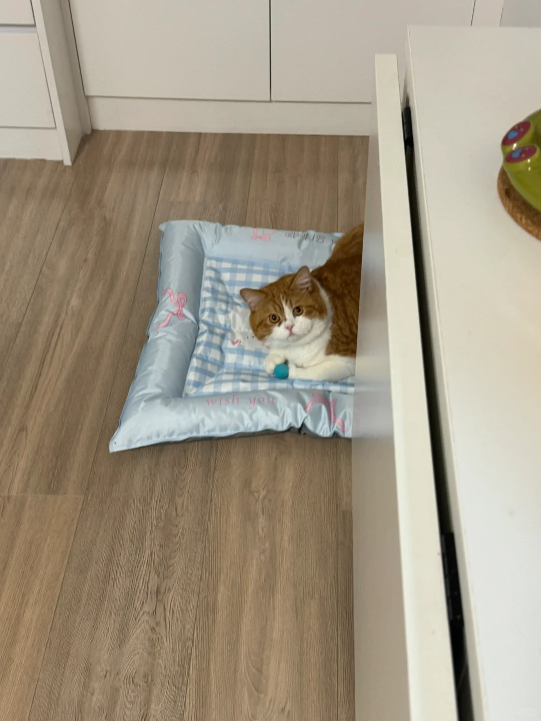 宝宝 妈妈没吵到你睡觉吧？