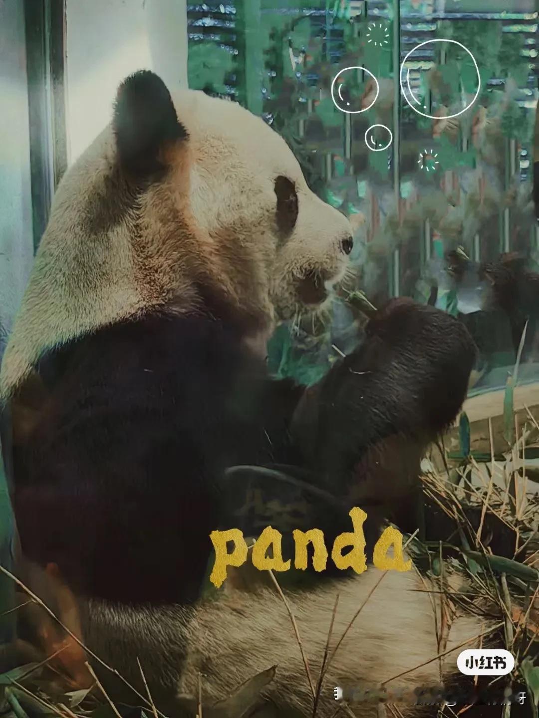 九月，我的生活是平淡的。
女儿八月份举办了婚礼，好像我的历史使命也完成了，所以，