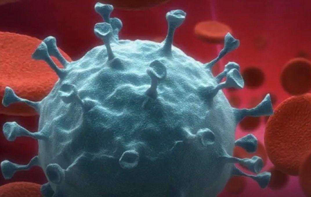 美国疾病控制与预防中心（CDC）最新数据显示，诺如病毒病例正在美国各地持续攀升。