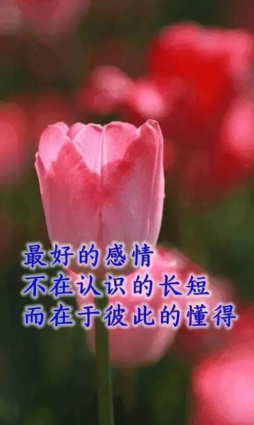 一次晚上应酬喝酒太多了，早上醒来迷迷糊糊就去了卫生间洗澡，等洗澡完了，清醒了，才