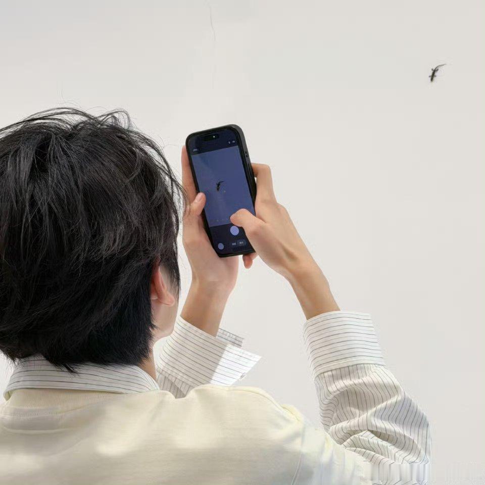 张桂源在休息室碰见了一只壁虎连小壁虎都来给我们张桂源送好运啦，看来今晚的舞台注定