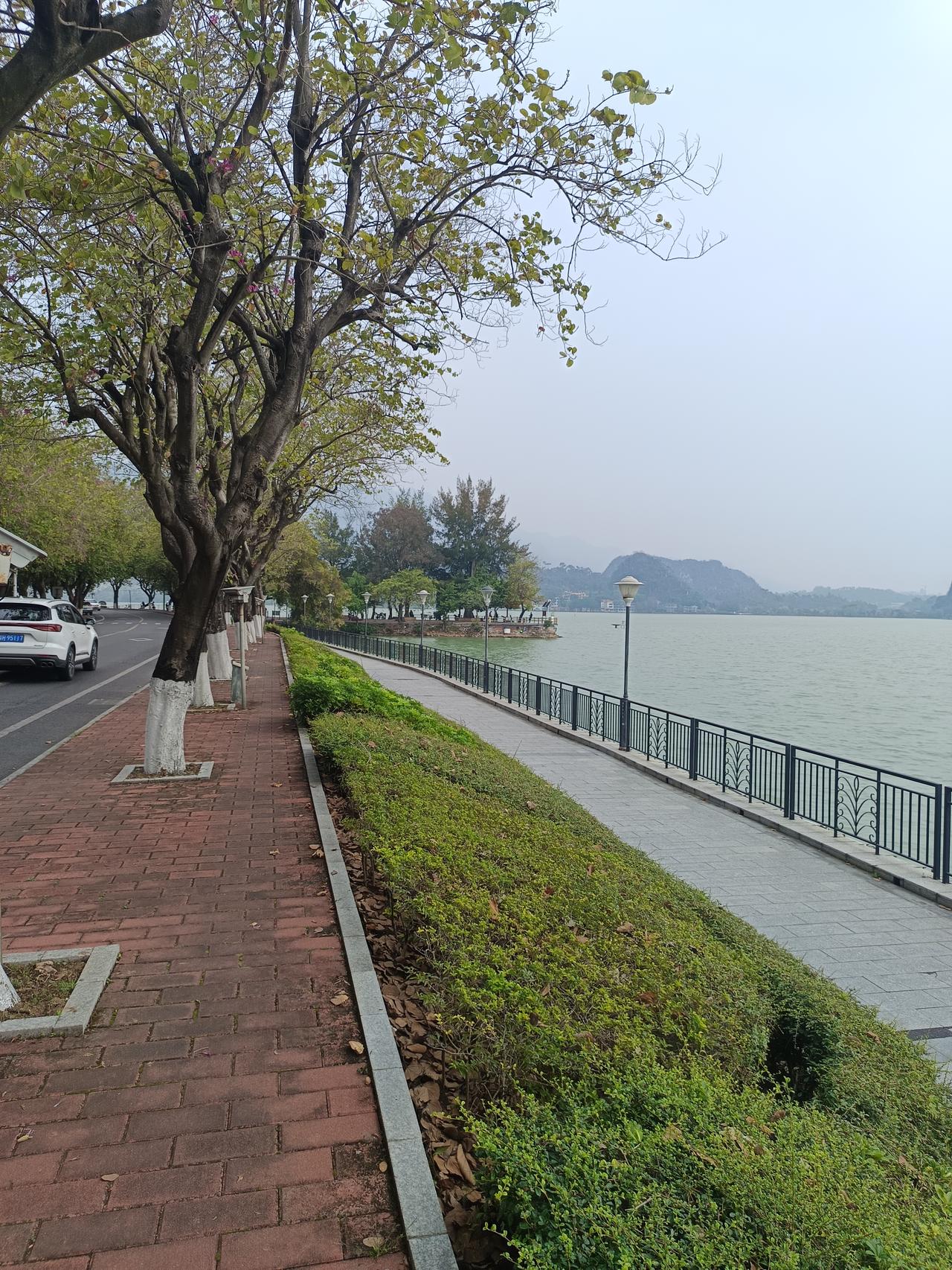 左边是紫荆西提，右边是七星岩风景区



你敢相信吗？这里竟然有两个景区
一个是