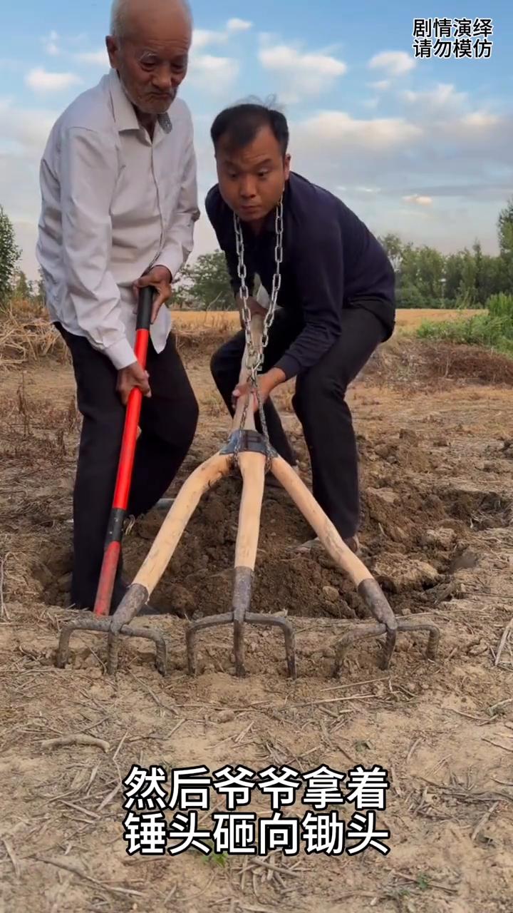 爷孙两个在地巧妙配合干农活，这一幕真的太有才了。
爷爷带着孙子来地里干活，只见他