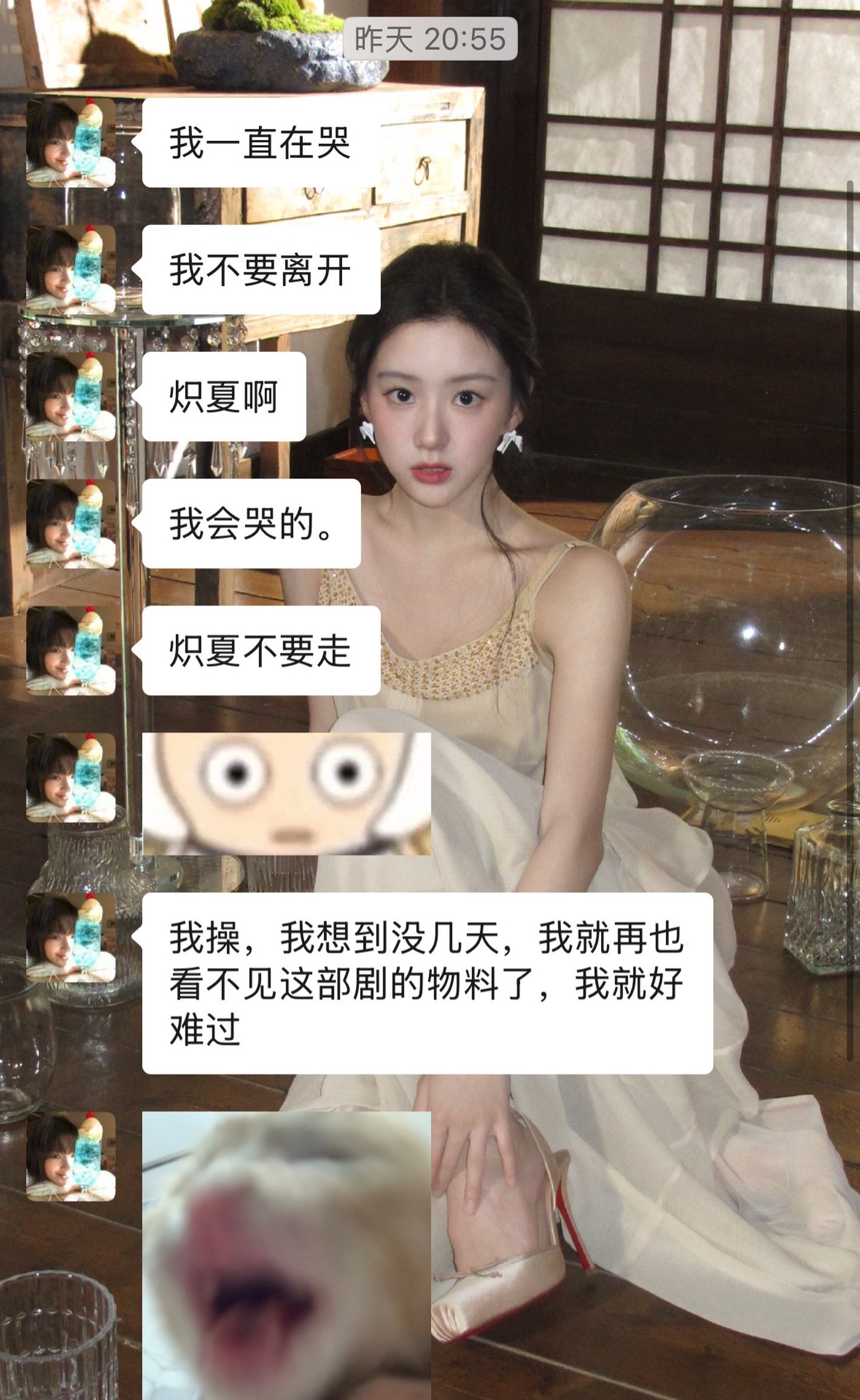炽夏为什么只有29集而不是229集