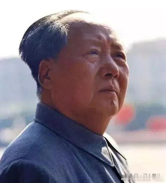 “《水浒》这部书，好就好在投降。做反面教材，使人民都知道投降派。 《水浒》只反贪