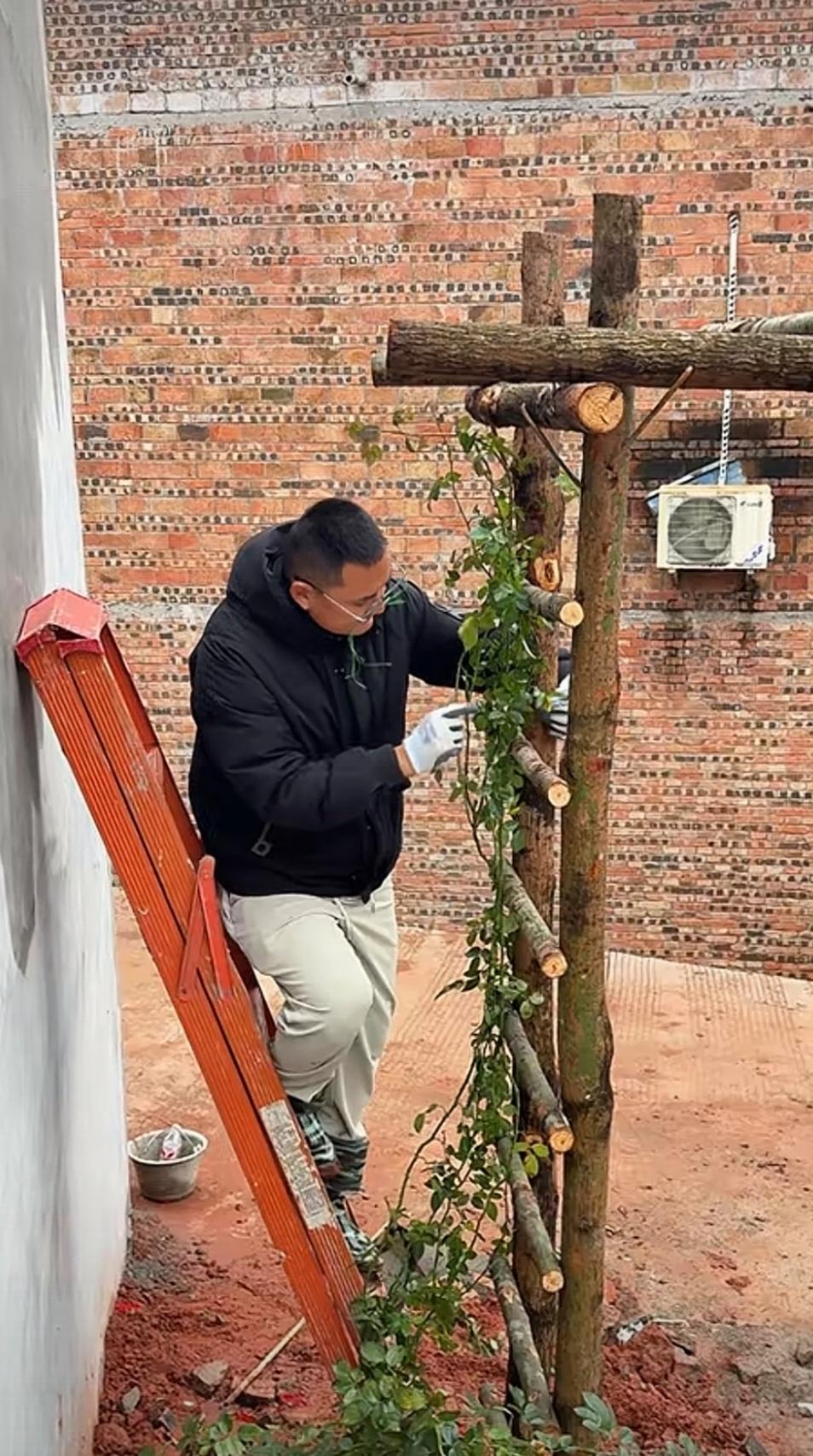 有多少和我一样，天天去点小二娃的视频看一看[呲牙]？很想小二娃天天更新视频。
习