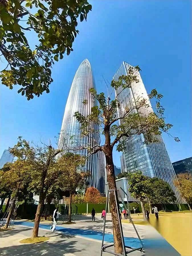 在深圳，最痛不是穷

是连“老家”都没了退路

那些月薪过万的单身男女，明明站在