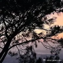 每日一善 想得越多，越不敢动；做得越多，越有方向。边做边修正，边跑边看清路。 