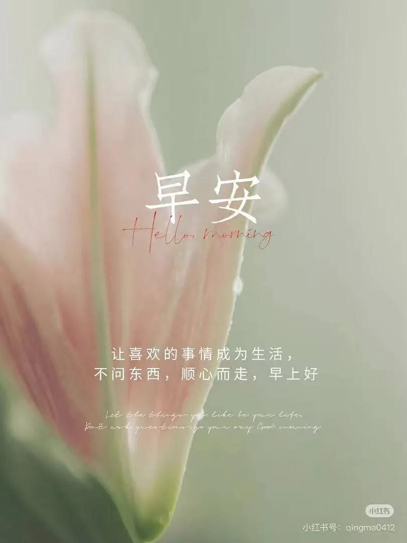 💛 ᵕ̈𝗺𝗼𝗿𝗻𝗶𝗻𝗴 𝘆𝗮♡
时光因懂得而美好
生活因知足