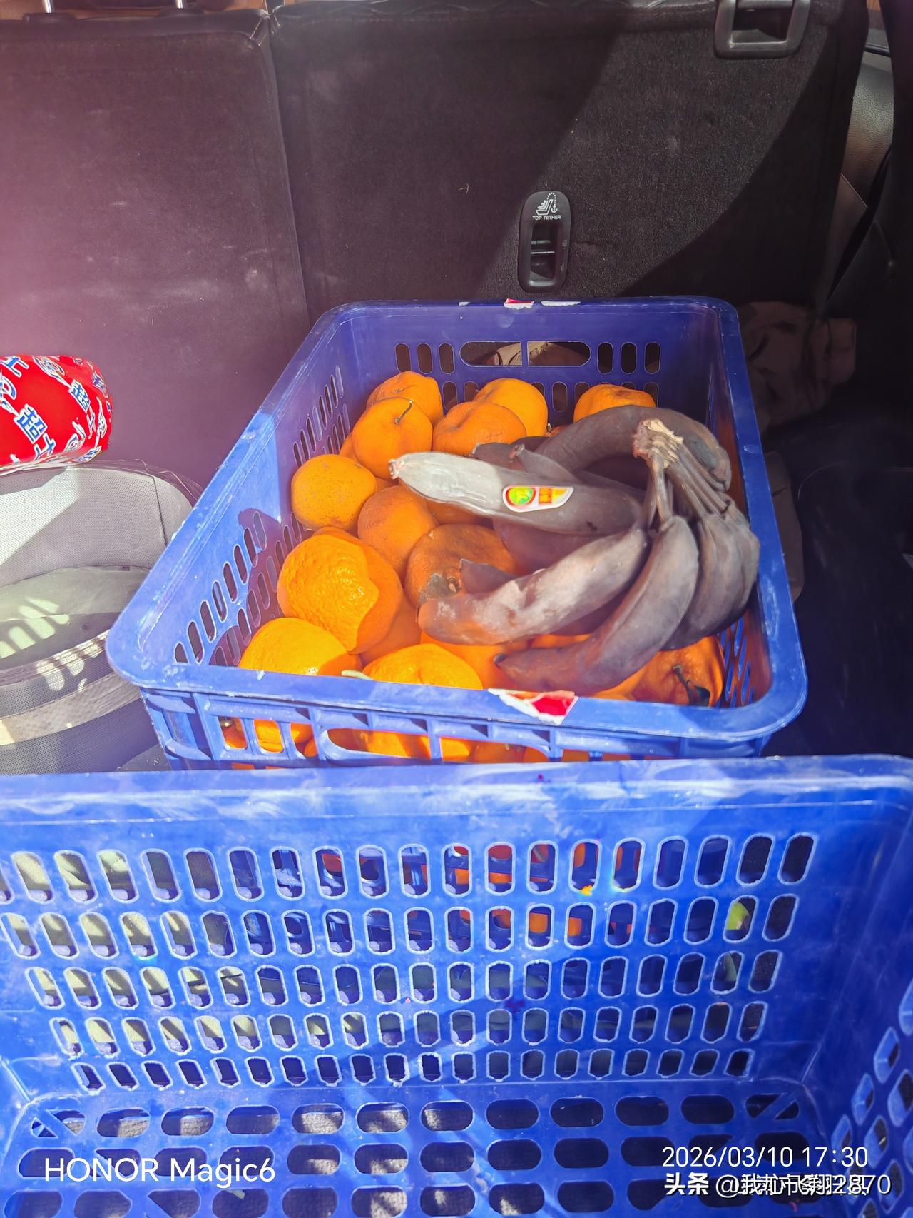 今天我在从林芝前往山南的路上，途经雅鲁藏布江达古峡谷时，瞧见一辆车停在路边。车主