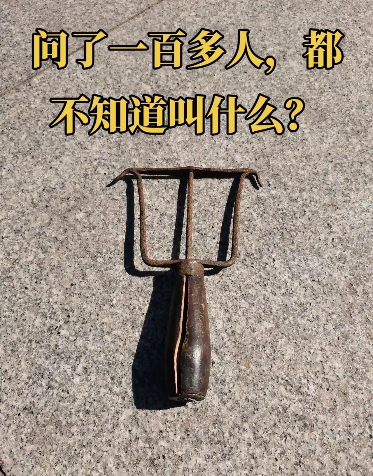 我拿着它问遍了全村， 专找上了年纪的老人打听。 前前后后一百多号人， 愣是没一个
