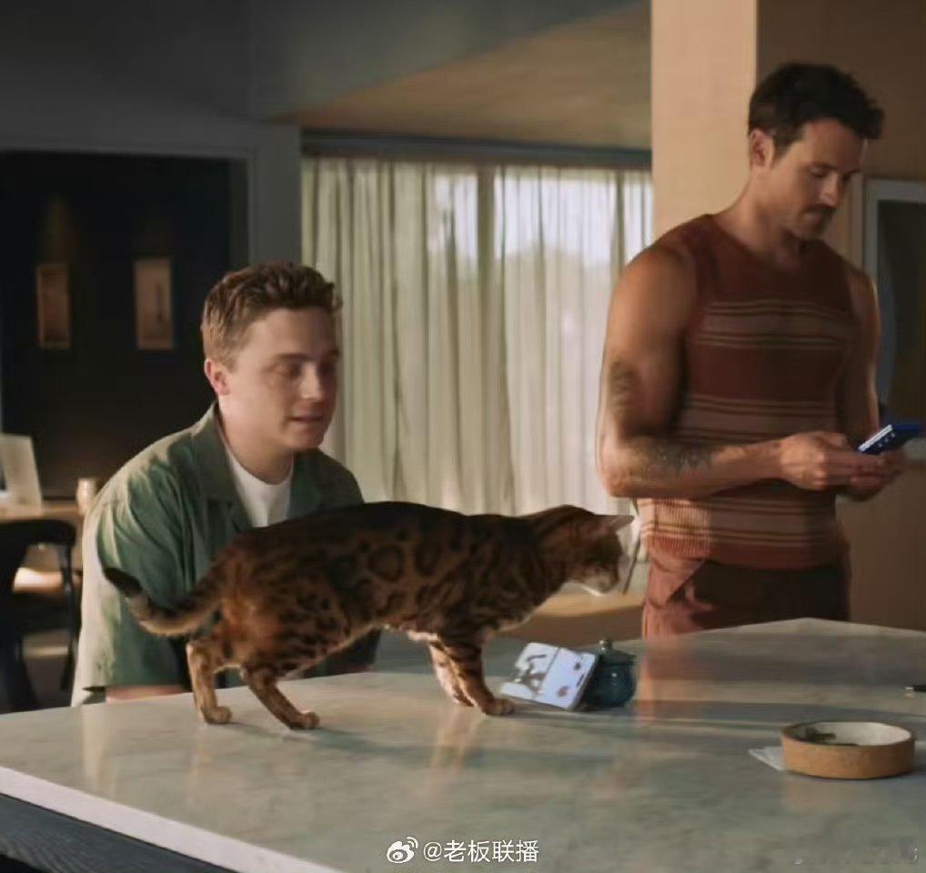 三星调侃iPhone无法稳立桌面，所以说稳立桌面是个什么很炫的功能吗？那手机支架