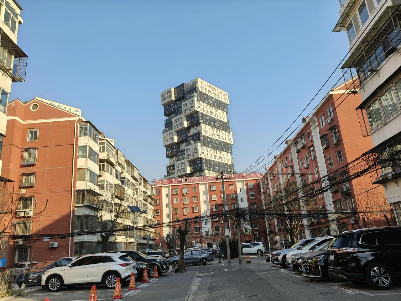 冬日生活打卡季