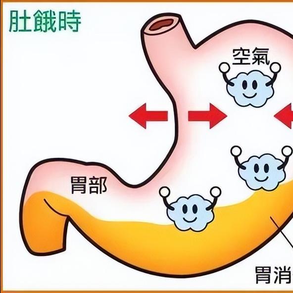 晚上吃得过多，为何第二天早晨反而更饿？中医解释，这是因为脾胃负担过重。

晚餐过