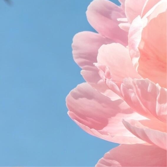 阳光信用  💫阳光信用  💫每日一善人之初，性本善。 上善若水，大爱无疆。 