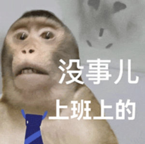 有时候真的挺羡慕猴子的，进化的刚刚好，既不用上班，也不用上桌[淡淡的] ​​​