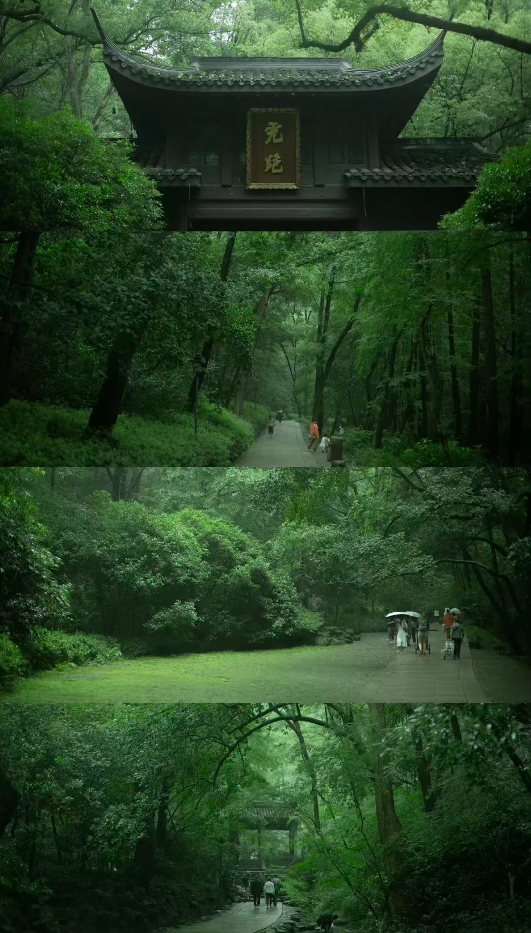 全国人民羡慕杭州人加班打工人刷到杭州人对着云朵撒欢，街头四季鲜花不断，真的太会哄