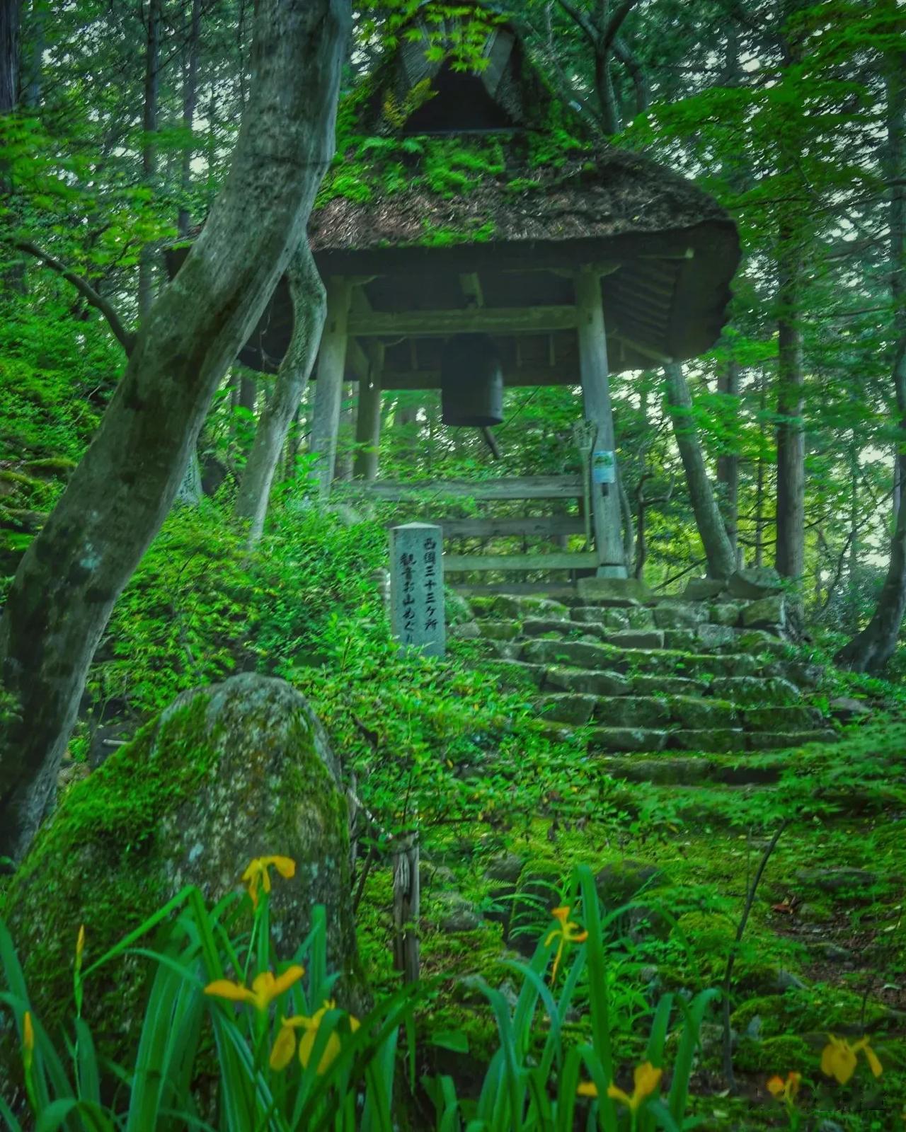 十年后我国社会状况：每年出生人口不足五百万并自然减少约1500万人，高中改为义务