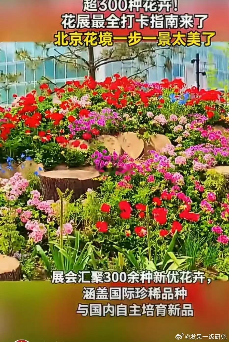 花展最全打卡指南来了北京花展最全攻略到手！一步一景的花境错落有致，穿浅色系衣装，