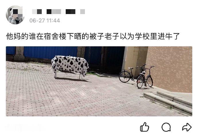 我视力： ​ ​​​