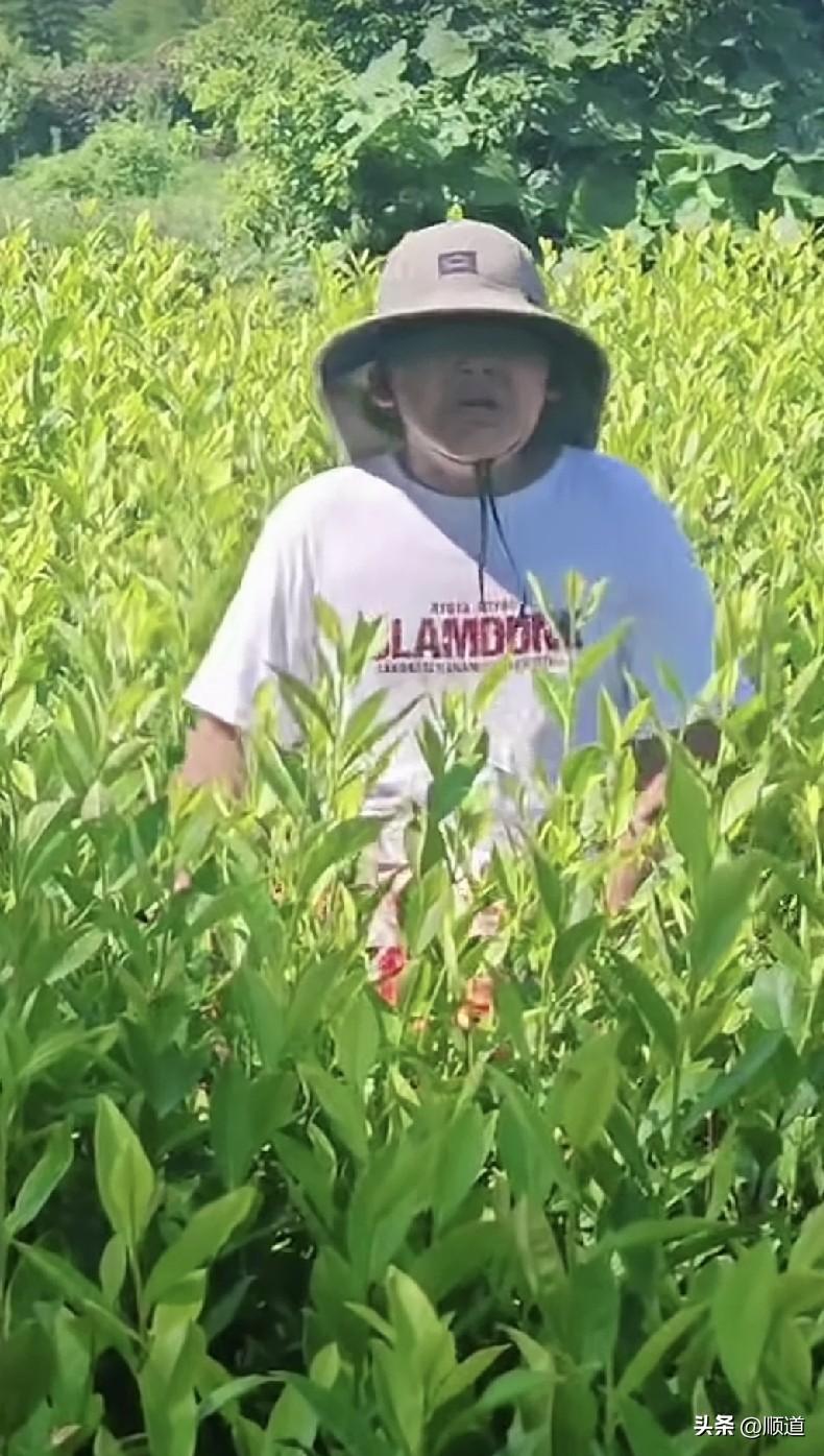 逝江一小孩儿高温下站在山上的茶叶地里哭着呐喊，我要回家，我要学习，我要学本事！