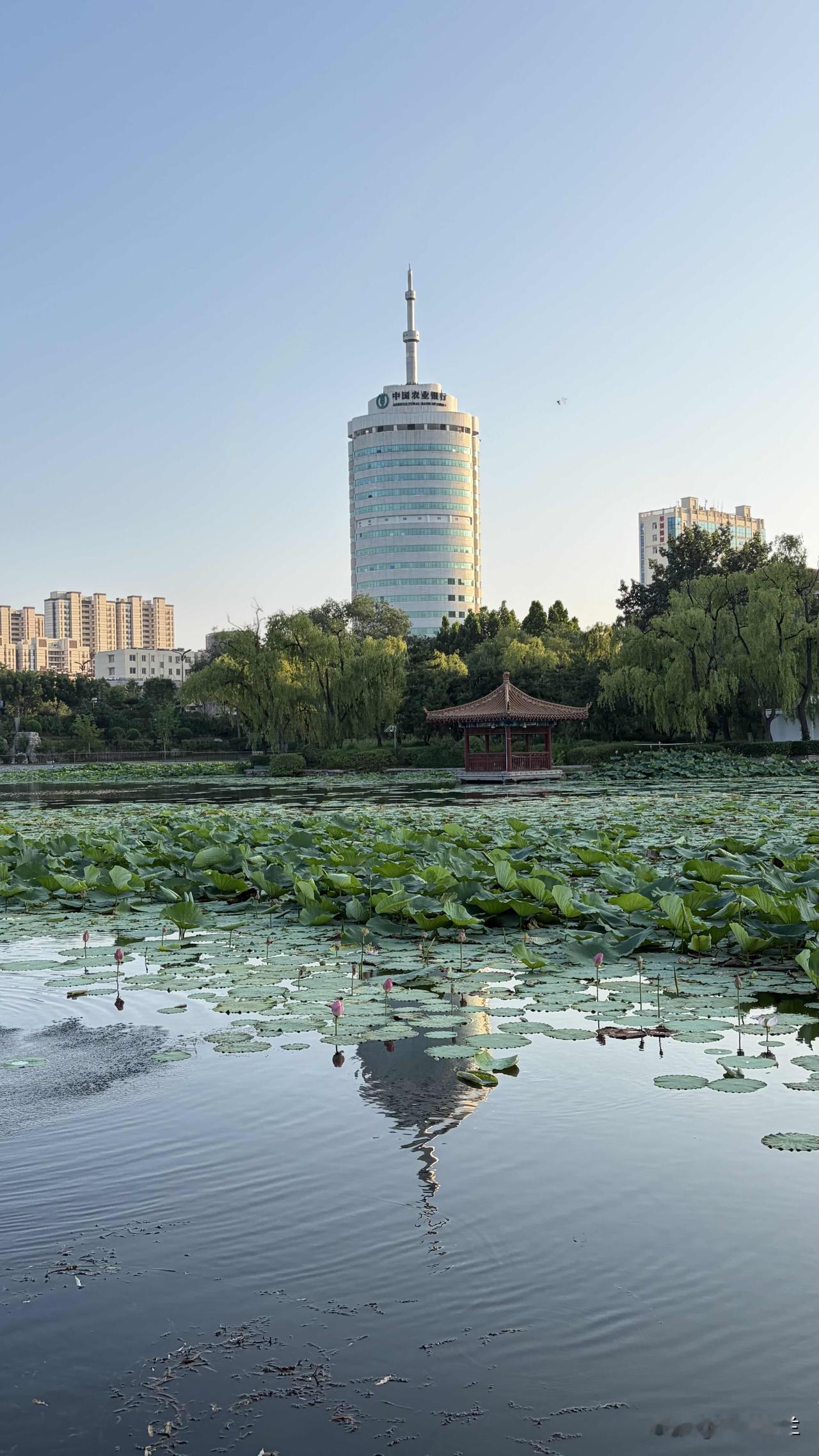 早饭后离开了江苏省的涟水县城，驾车360多公里，来到了山东省济南市的莱芜区。
