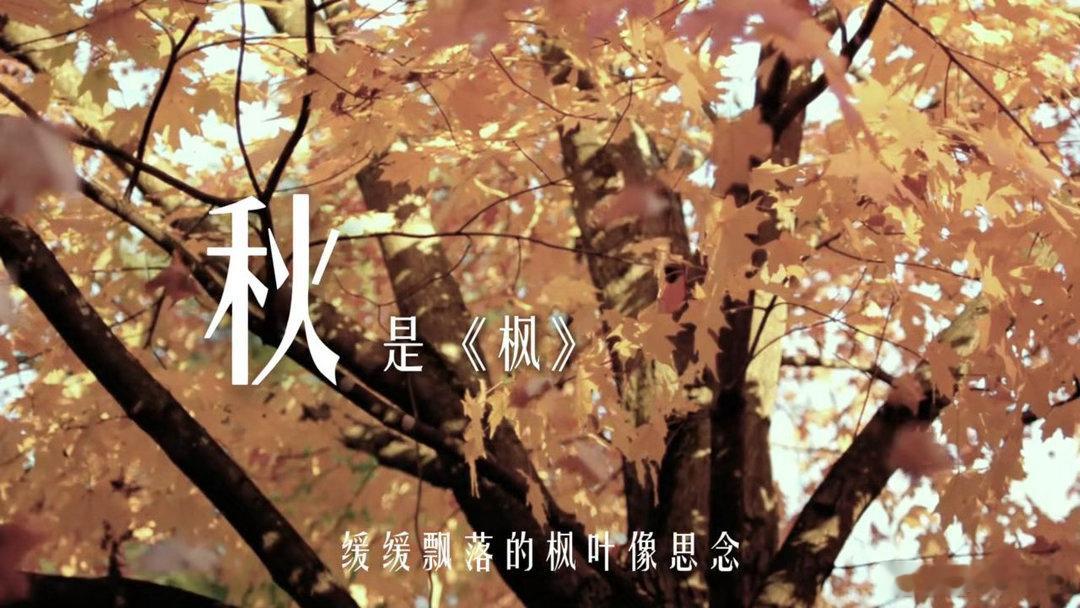 周杰伦夏天最严厉的父亲窗外麻雀一开口，我就知道夏天来了。周杰伦不愧是夏天最严厉的