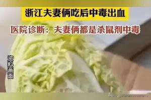 震惊！"毒娃娃菜"闹剧背后，谁偷走了我们的信任？"菜市场买的娃娃菜有毒！"浙江一
