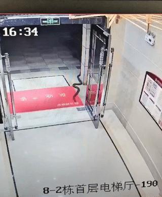 真是太可怕了！
一位阿婆正要出门扔垃圾。
结果她在门口突然遇到一条大蛇！
这可把