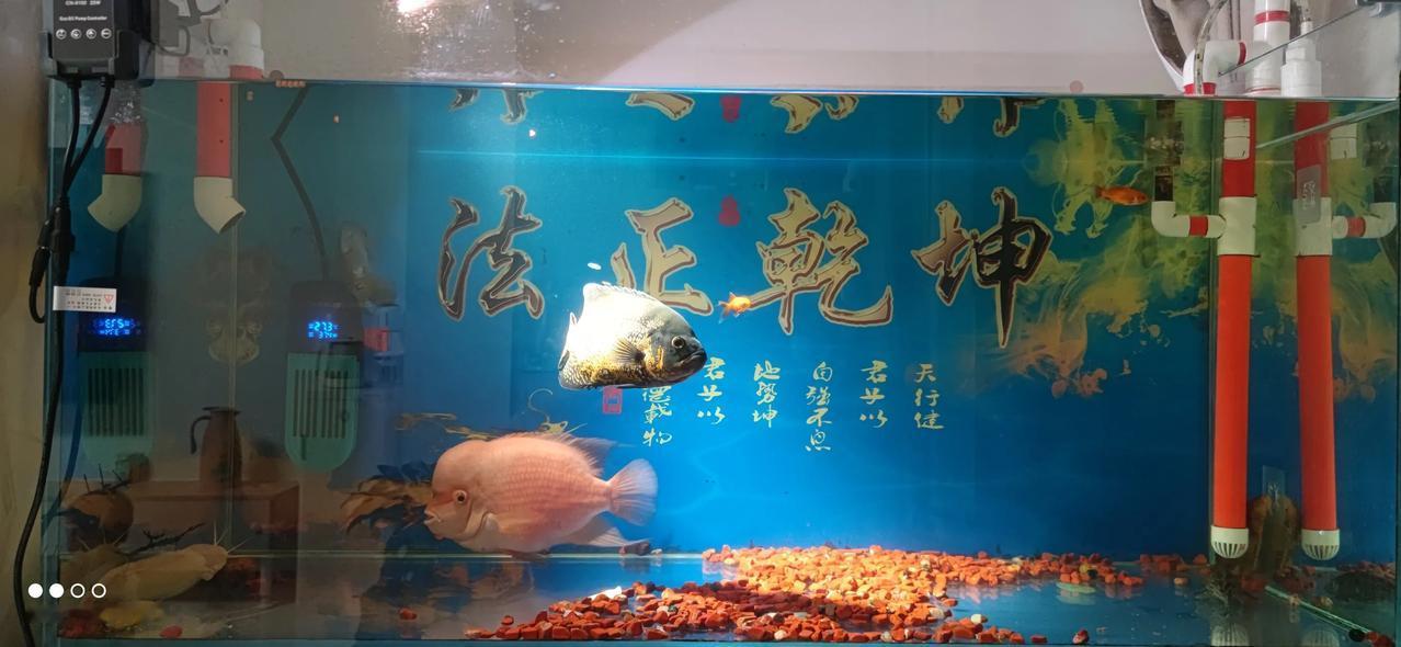 实习律师第157天
        执行的水很深呀！
        今早直接到