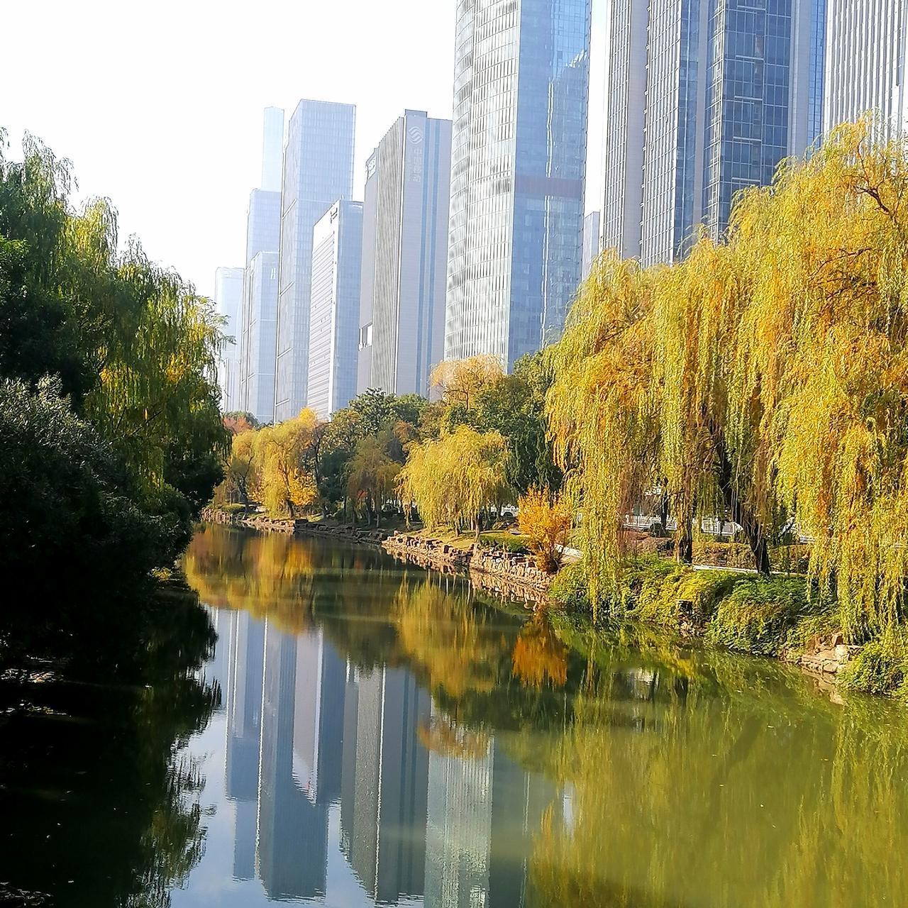 南京有句脍炙人口童谣：“排排坐，吃果果”彰显的是南京娃儿的童趣，生动且形象。
今