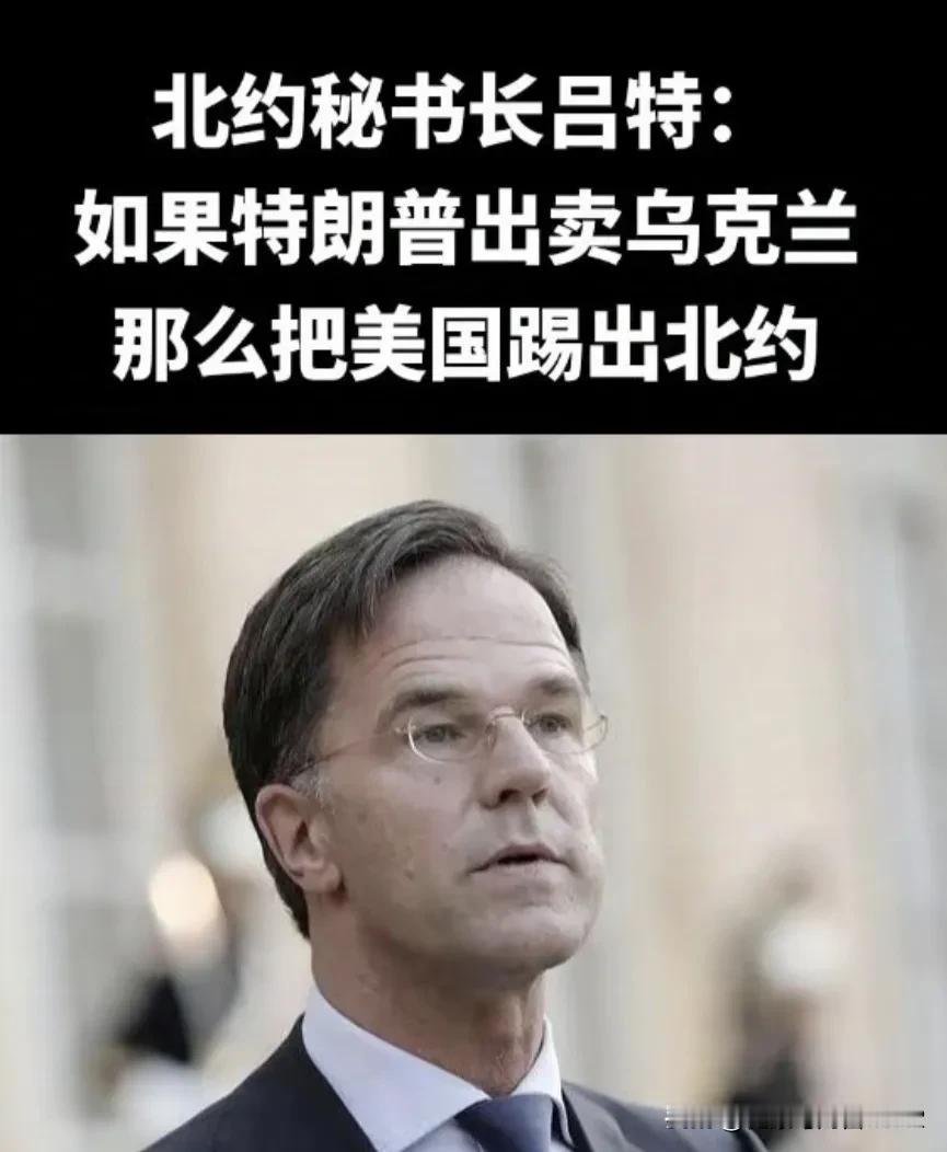 把美国踢出北约。随着美国总统大选落下帷幕，特朗普获得了未来四年的执政权。鉴于特朗