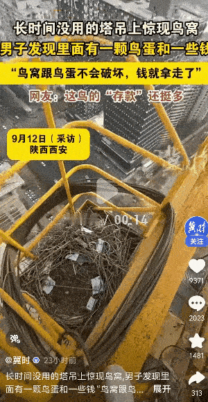 “天呀，发财了”陕西西安，一男子由于长时间没有使用塔吊。后来第一天上班，回头来看