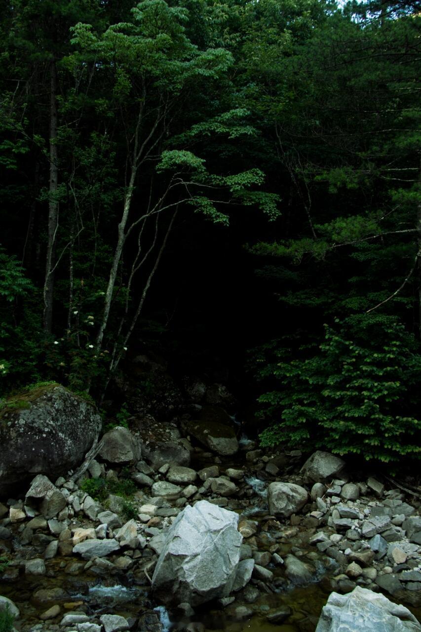 骑行、健身塑形西安周边骑行路线分享路线：西安—涝峪—月太路—泰山庙镇—月木路—木
