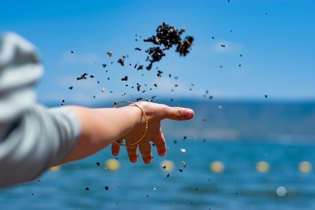 毕淑敏在她的《星光下的灵魂》里写道：“凡是自然的东西都是缓慢的。太阳一点点升起，