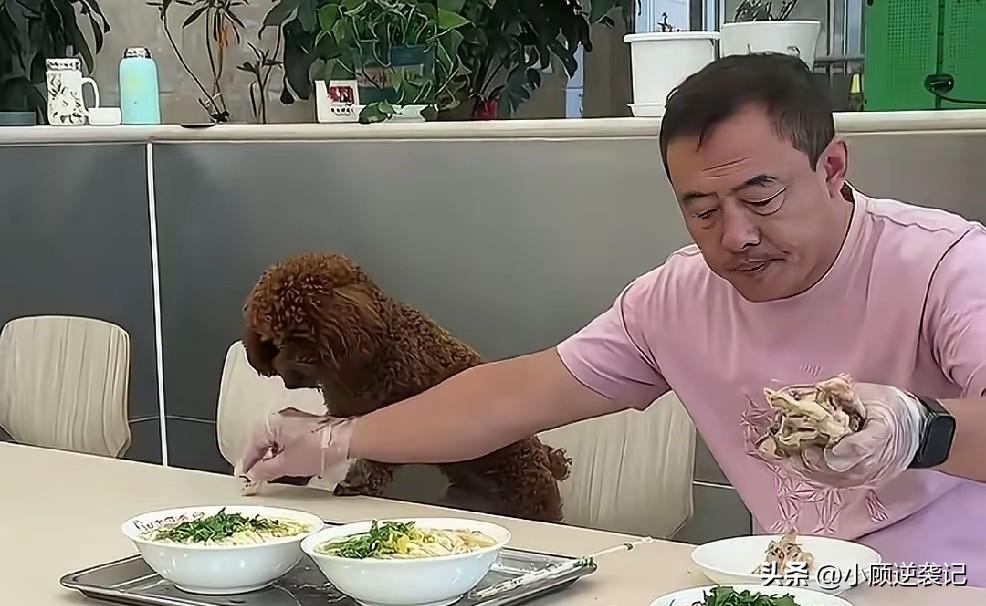 现在有些人把自己的宠物狗带进饭店和自己一起吃饭，这实在是有点过分了。正常情况下，