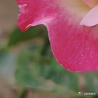 阳光信用  成长是一场永不停歇的蜕变。不必急于求成，也别怕改变，每一次尝试都是进