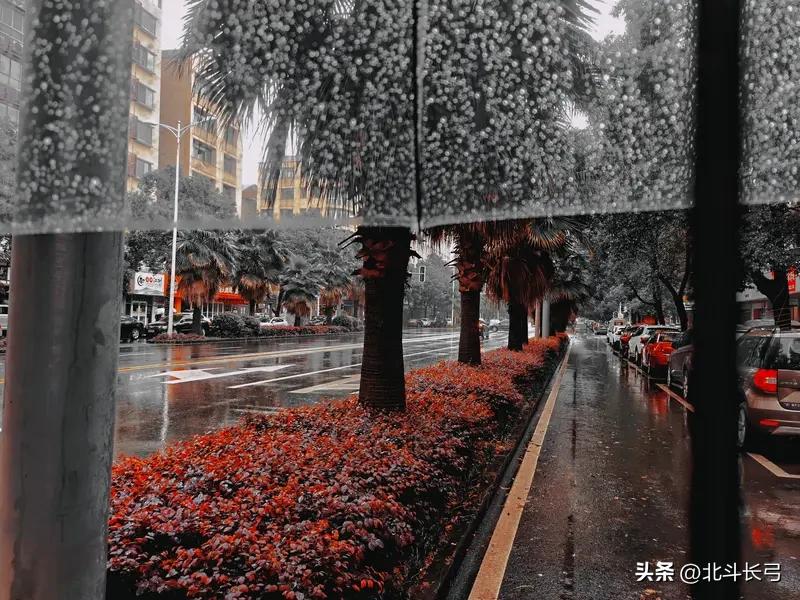 今天出门时，天上飘着细细的雨，比雾大一点，比小雨又小一点，到底撑不撑伞？
【北斗