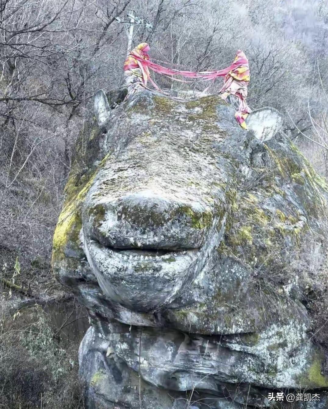 这块石头价值连城，你觉得像什么⁉