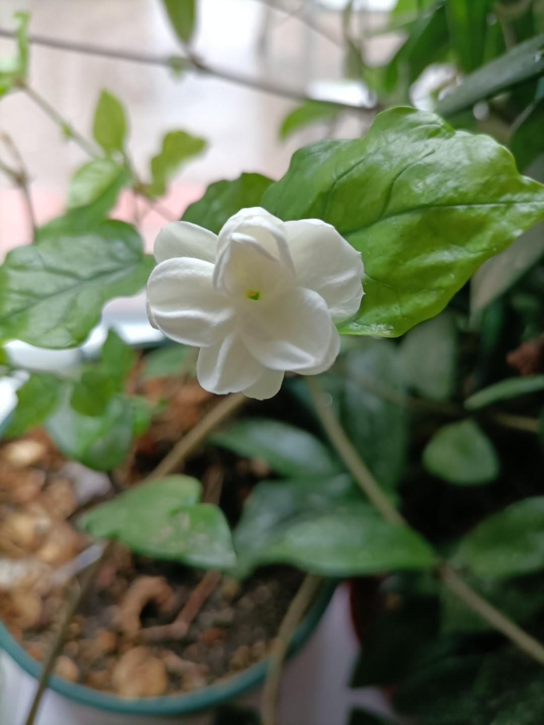 大恩如大仇！


李密反隋失败后，投奔了翟让领导的瓦岗军，瓦岗军在翟让手中主要是